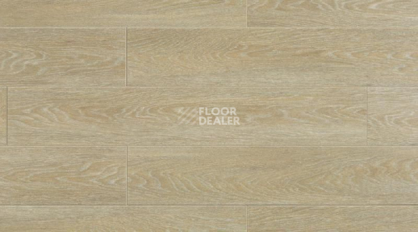 Кварцвиниловые полы Creation 70 0324 Silversands фото 1 | FLOORDEALER